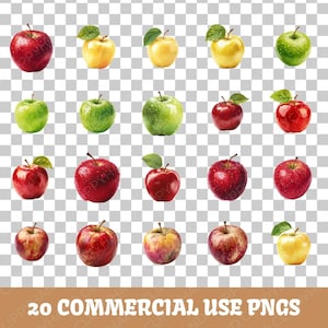 Clipart vraie pomme | Lot de cliparts de fruits frais | 20 modèles de haute qualité | Art de la pomme et des fruits | Graphiques éducatifs | Utilisation commerciale
