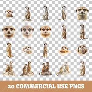 Meerkat Clipart | Desert Wildlife Clipart Bundle | 20 High-Quality Designs | African Animal Art | Safari Graphics | Commercial Use