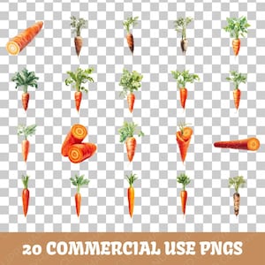 Clipart carotte | Lot de cliparts de légumes frais | 20 modèles de haute qualité | Art du jardin | Graphiques pour une alimentation saine | Utilisation commerciale