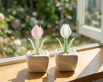 Dekoracja w doniczce z tulipanami, kwiatowy akcent w domu, minimalistyczny prezent botaniczny, dekoracja półki na biurko, nowoczesna dekoracja kwiatowa