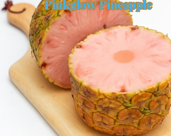 15 Rare Pinkglow Pineapple Seeds, Exotic Tropical Fruit, Non GMO, Easy to Grow