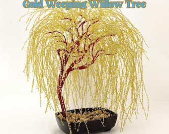 Live Gold Weeping Willow Tree Cuttings – Bonsai Starter Plant, Indoor & Outdoor Bonsai