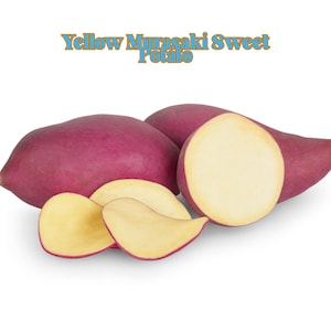 May include: Image of several purple-skinned sweet potatoes, some whole and some sliced, revealing a pale yellow interior. The text "Yellow Murasaki Sweet Potato" is displayed in a gold and blue font above the potatoes.
