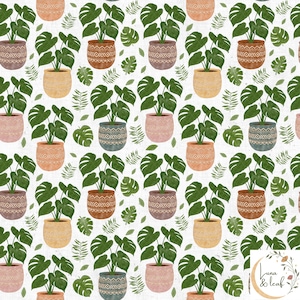 May include: A repeating pattern of potted Monstera plants and green leaves on a white background. The pots are in various colors, including brown, pink, and yellow, with decorative patterns. The leaves are a vibrant green.