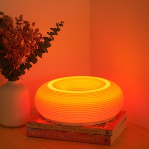 May include: A glowing, round, layered lamp with a warm orange hue sits atop two books. A white vase with dried flowers is to the left. The scene is bathed in an orange glow, creating a cozy ambiance. The lamp is the focal point.