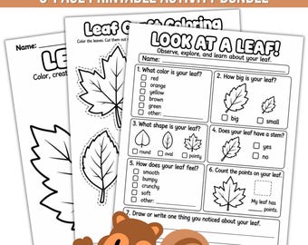 Actividades de otoño con hojas para preescolar y jardín de infancia / Fichas de observación de hojas / Manualidades de otoño con elementos de la naturaleza / Material imprimible para colorear y de ciencia