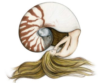 Nautilus Tattoo Etsy