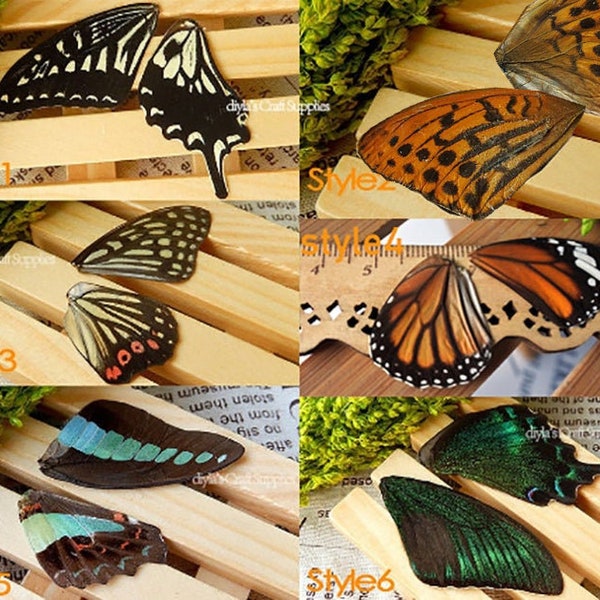 12pcs real butterfly wing authentic butterfly wing nature butterfly, for Earring arts, crafts   and jewellery making (Butterfly000)