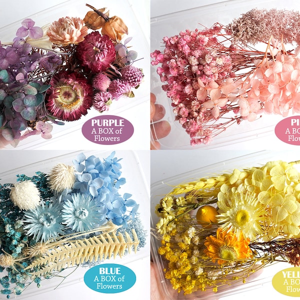 A box Natural Dried Flowers for Resin Soap Jewelry Molds Candles DIY Craft Supplies, Resin Fillers Jewelry Making Supplies Preserved flowers