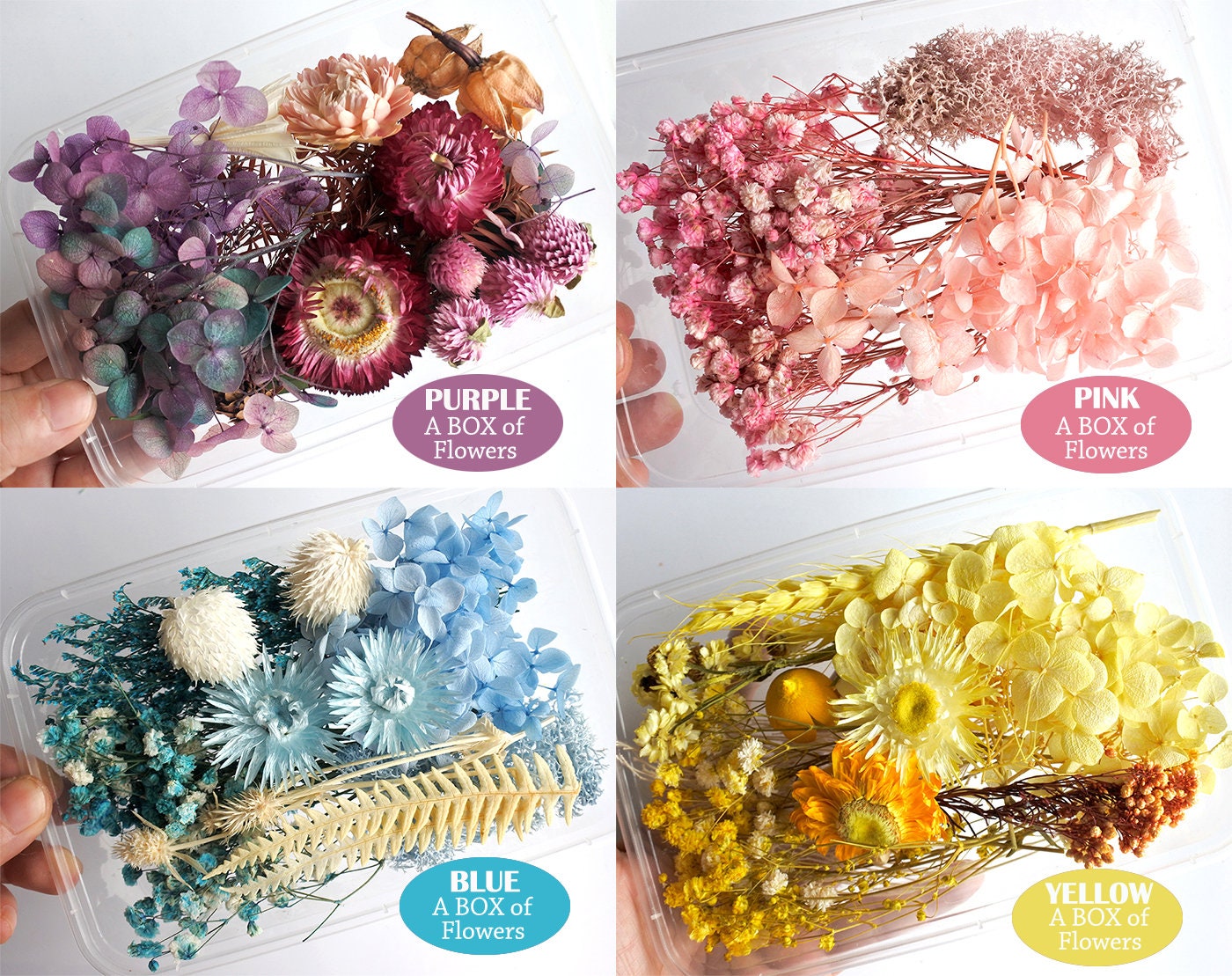 4 Box Mini Dry Flowers Natural Dried Flowers Tiny Dried Flowers Resin  Fillers Flower Nails for Crafts DIY Craft Epoxy Resin Mold Painting Jewelry