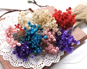Wedding Supplies DIY Crafts Small Star Mini Daisy Floral Bouquets Dried Flowers Wedding Supplies DIY Crafts Small Star Mini Daisy Floral Bouquets Dried Flowers