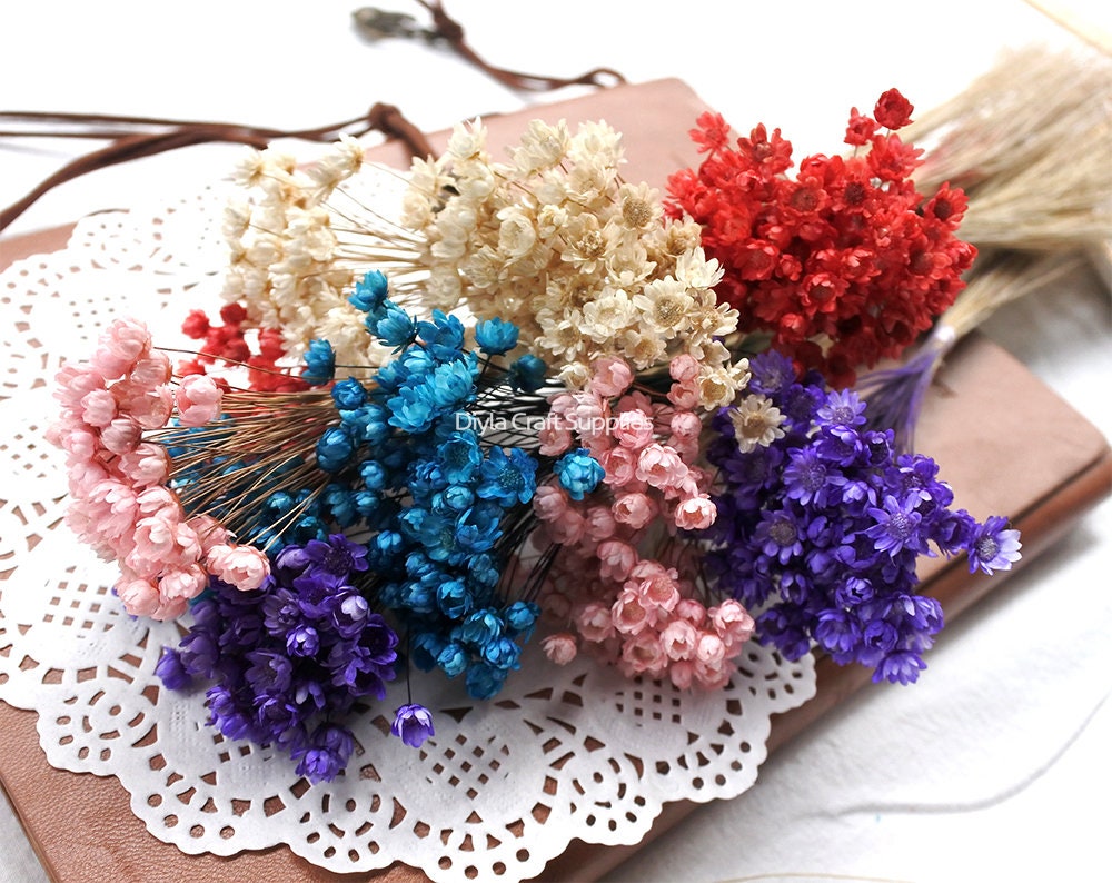 Wedding Supplies DIY Crafts Small Star Mini Daisy Floral Bouquets Dried Flowers Wedding Supplies DIY Crafts Small Star Mini Daisy Floral Bouquets Dried Flowers