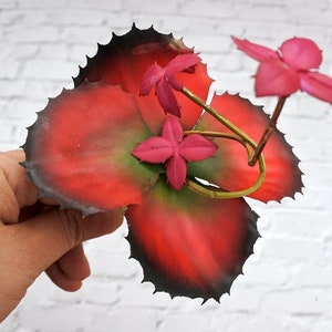 Artificial Succulent, Faux Succulent,Fake green Succuent, red flower，Unpotted Fake Cactus for Home Gardern Diy Decoration, Office Decor S021
