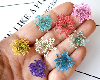 May include: Assortment of dried flowers in various colors, including yellow, white, pink, blue, and purple. The flowers are arranged on a hand, showcasing their delicate and intricate details.