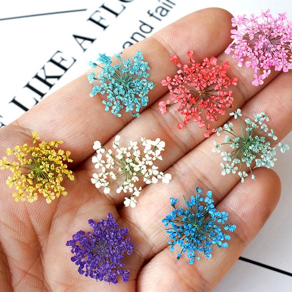 24 pieces  Minoan Lace  pink Pressed flowers for resin natural white  blue flower for jewelry for necklace  Vacuum  package, Nail stickers