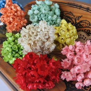 50pcs mini star daisy, real flowers natural dried flowers white  pink flowers  for Filler of the glass bottles,Decor Floral Supplies