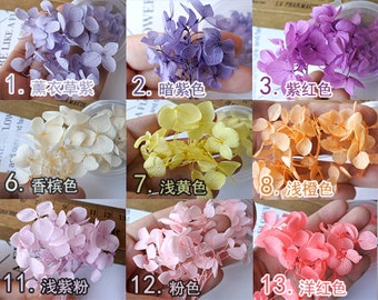 Dried hydrangeas purple,Real  pink Dried flowers for hollow glass bottle filler hydrangea for resin jewelry necklace, filler for glass globe
