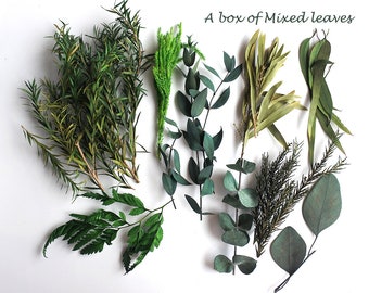 Una scatola di foglie naturali essiccate per stampi per gioielli in resina, candele, forniture per artigianato fai da te, riempitivi in resina, forniture per la creazione di gioielli, foglie conservate