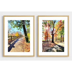 Rumi Zitat druckbare Wandkunst - Central Park Herbst Fotografie - Digitaldownload - 8,5 x 11 Hochformat