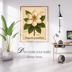 Arte mural botánico de magnolia vintage / Impresión de herbario de flores del sur / Ilustración botánica imprimible / Póster floral estilo cottagecore