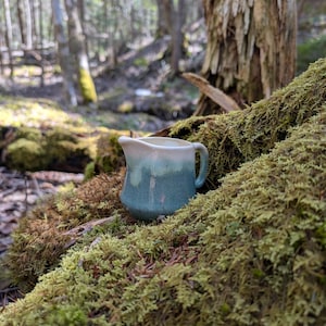 May include: A small, blue and white ceramic creamer sits on a bed of moss in a woodland setting.