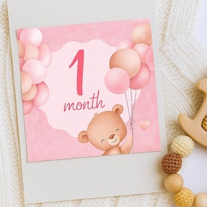 Baby Monatskarten in Pink von Neugeborenen bis 1 Jahr + erste Meilensteine | Sofort Download
