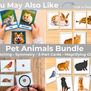 May include: A Pet Animals Bundle educational set featuring matching cards, symmetry cards, 3-part cards, and a magnifying glass. The cards display various animals including a cat, hamster, dog, rabbit, bird, and turtle with text labels.
