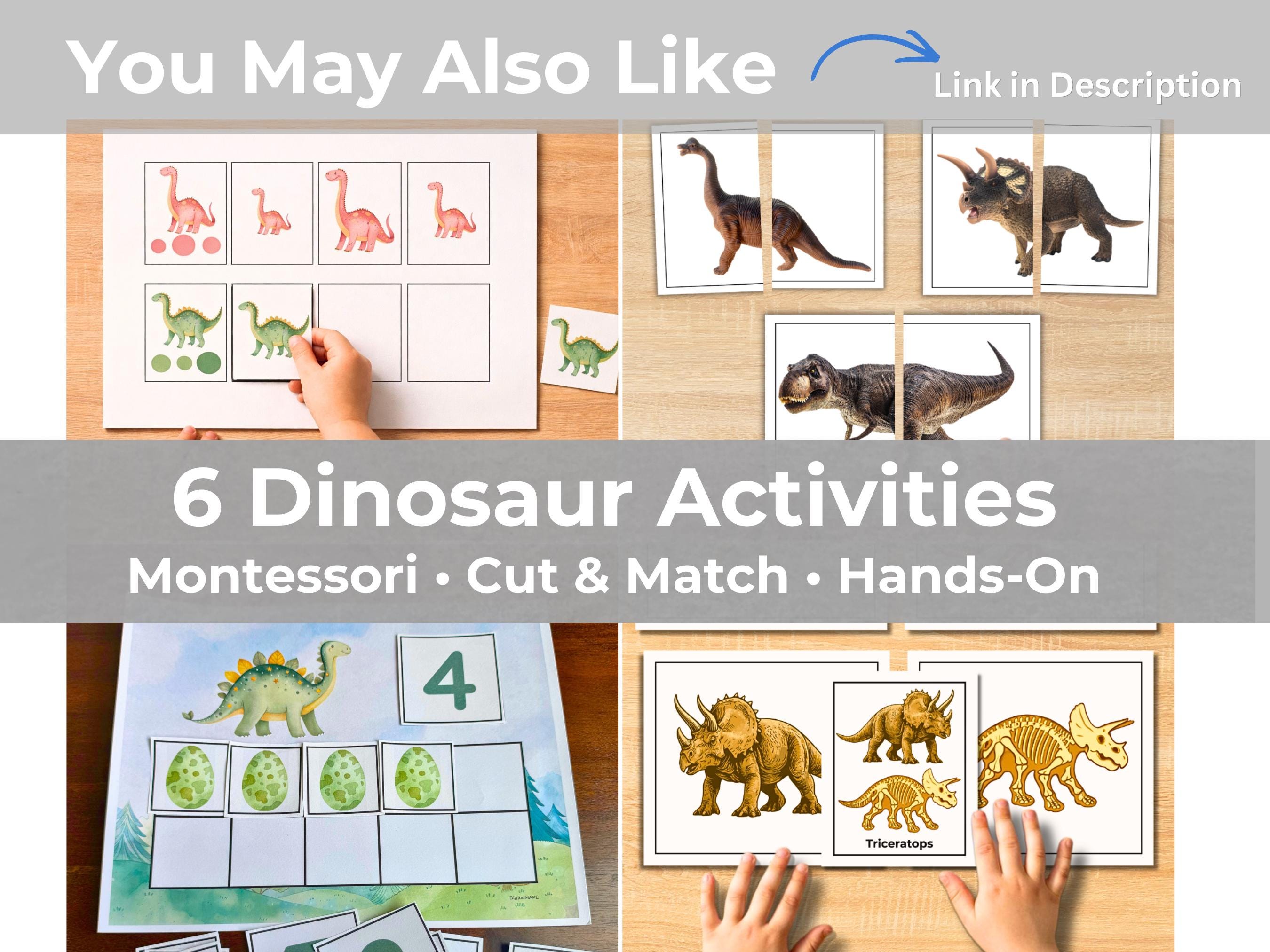 Dinosaur Size Sorting Activity | Preschool Montessori Math Printable ...