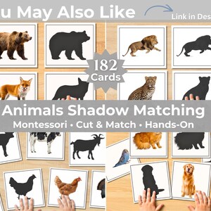 Animals Shadow Matching Bundle | Montessori Preschool Matching Cards | Printable Toddler Game