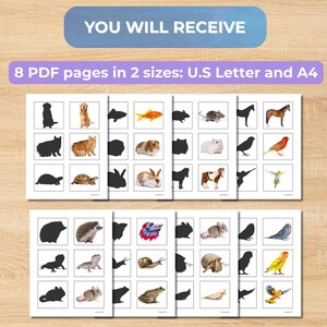 Pet Animals Shadow Matching Activity For Toddlers