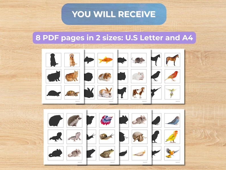 Pet Animals Shadow Matching Activity For Toddlers
