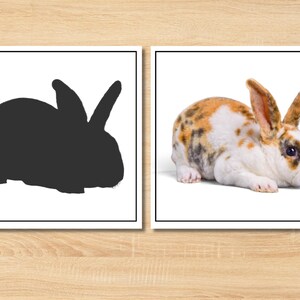 Printable Montessori Animal Shadow Match | Fun Activity for Homeschool & Preschool Kids