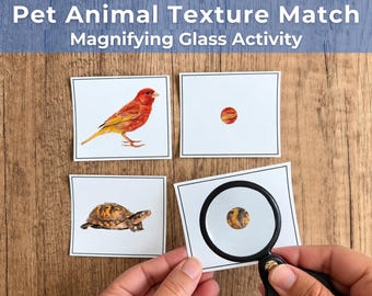 May include: A Pet Animal Texture Match Magnifying Glass Activity set featuring four white cards with illustrations of a red bird and a turtle, alongside two cards showing magnified circular texture samples, viewed through a black magnifying glass.