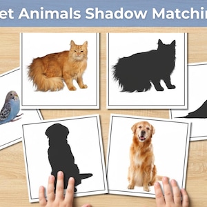 Op de afbeelding: Een Pet Animals Shadow Matching educatieve set met vierkante kaarten voorzien van realistische kleurenfoto's van een kat, een hond en een parkiet, samen met hun bijbehorende zwarte silhouetten voor visuele herkenning en oefeningen.
