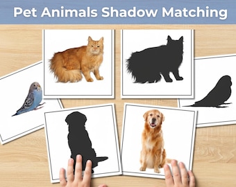 May include: A Pet Animals Shadow Matching educational activity set featuring square cards with color photographs of a ginger cat, a golden retriever, and a blue parakeet alongside their corresponding black silhouettes on white backgrounds.