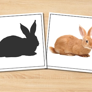 Farm Animals Shadow Matching | Montessori Printable for Preschool