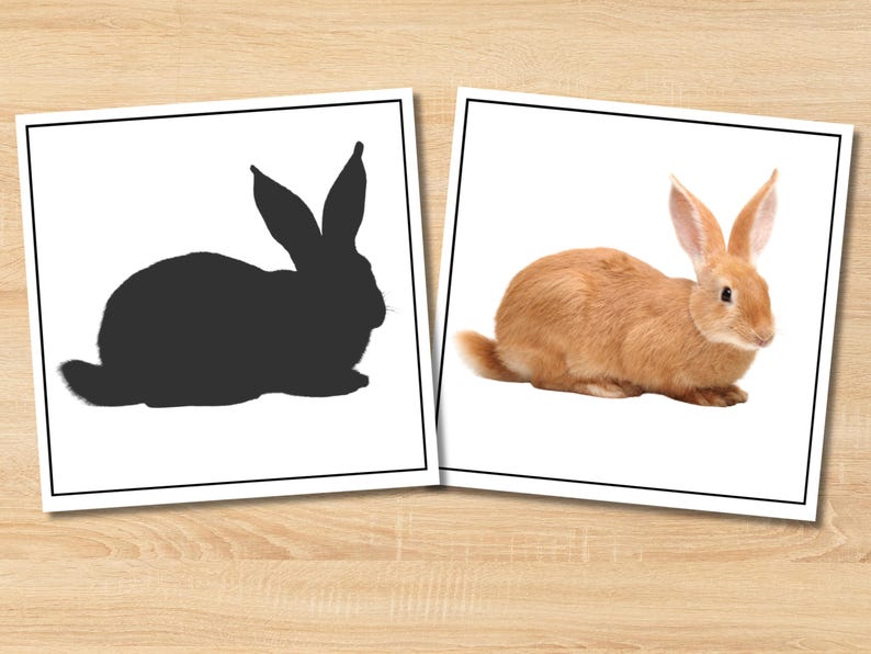 Farm Animals Shadow Matching | Montessori Printable for Preschool