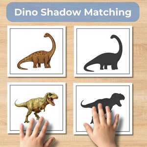 Dinosaur Shadow Matching Cards | Preschool Montessori Printable ...