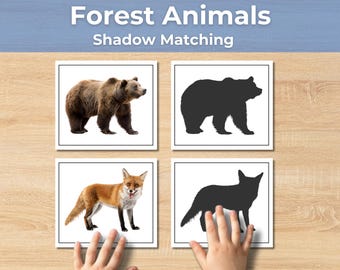 Forest Animals Shadow Matching Cards | Toddler Learning Activity | Montessori Preschool Printable