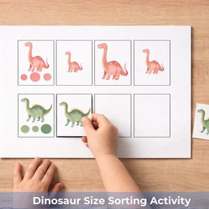 May include: A child's hands interacting with a dinosaur size sorting activity. The activity features illustrations of pink and green dinosaurs of varying sizes, with matching circles. The text "Dinosaur Size Sorting Activity" is at the bottom.