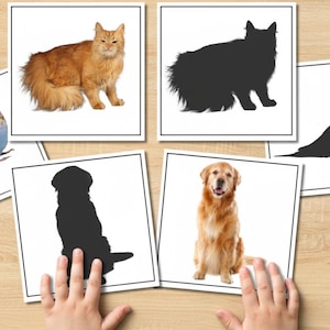 Puede incluir: Juego de tarjetas didácticas con animales: un gato naranja, un golden retriever, un periquito y sus siluetas negras. Dispuestas sobre una superficie de madera clara.