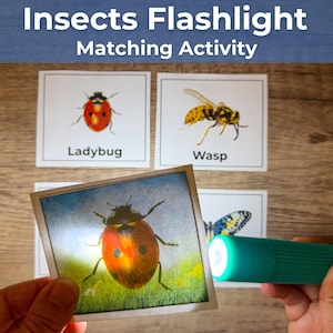 May include: An educational insects flashlight matching activity set featuring white cards with illustrations of a ladybug and a wasp, and a teal flashlight used to illuminate a square card showing a ladybug in a grassy field with the text Insects Flashlight.