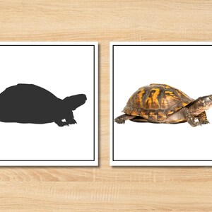 Pet Animals Shadow Matching Game | Montessori-Style Printable for Toddlers & Classrooms