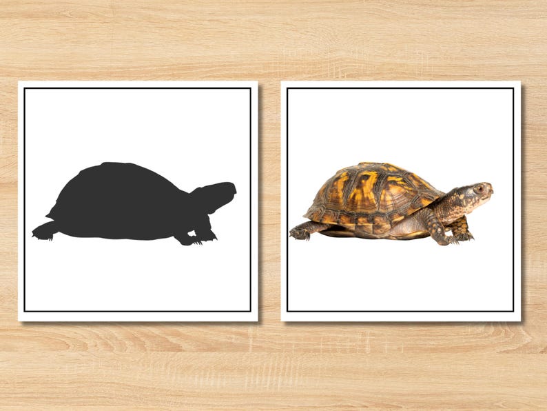 Pet Animals Shadow Matching Game | Montessori-Style Printable for Toddlers & Classrooms