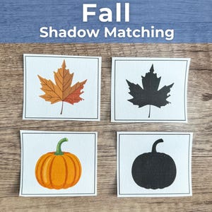 May include: A Fall Shadow Matching educational activity set featuring four white cards with black borders. Two cards display colored illustrations of a maple leaf and a pumpkin, while two cards show their corresponding black silhouettes.