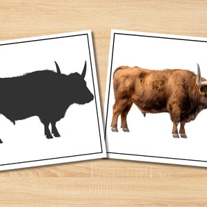 May include: Two framed images of a bull. One is a black silhouette, the other is a brown bull with large horns. The bull is standing, facing right, with a white background.
