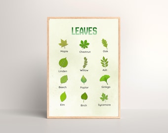Green Leaves Educational Poster – Montessori Homeschool Printable Nature Wall Art, Classroom Decor,Digital Download