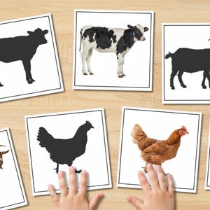 Könnte beinhalten: Lernkarten mit Nutztieren, darunter eine Kuh, eine Ziege und ein Huhn, mit Silhouetten- und Farbbildern. Die Karten liegen auf einer hellen Holzoberfläche, mit Kinderhänden, die mit den Karten interagieren.