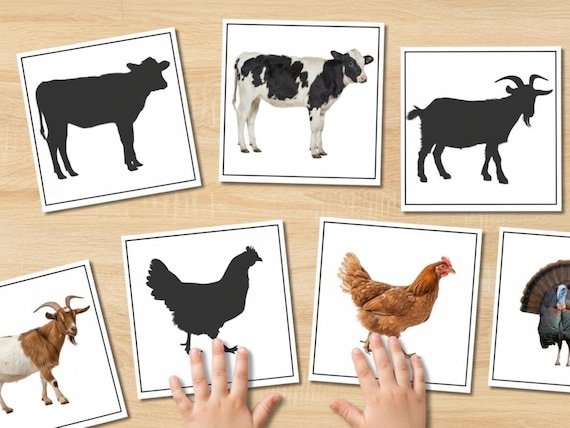 Farm Animals Shadow Matching Cards | Montessori Printable Activity for Preschool, Toddler & Homeschool