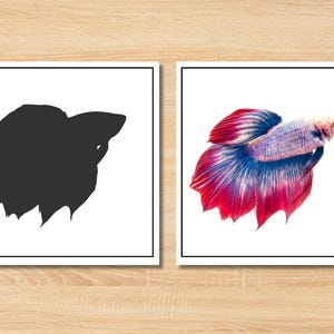May include: Two square framed prints side by side. The left print features a solid black silhouette of a betta fish. The right print displays a detailed, colorful betta fish with vibrant red, blue, and white scales and long, flowing fins.